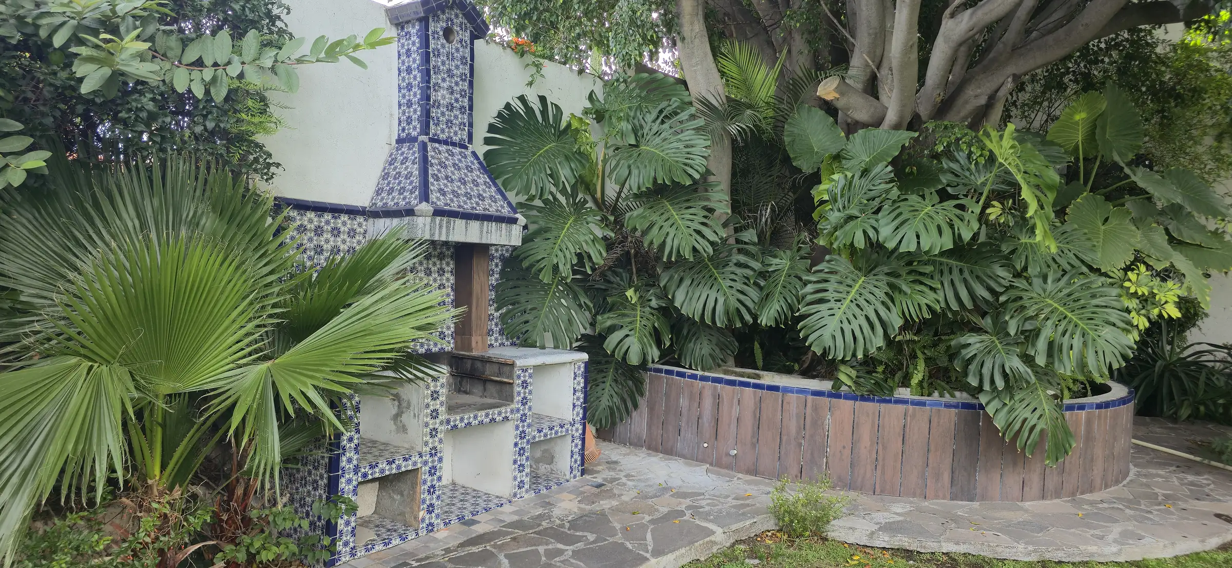 Rincón del jardín con plantas tropicales, un árbol grande y azulejo de Talavera