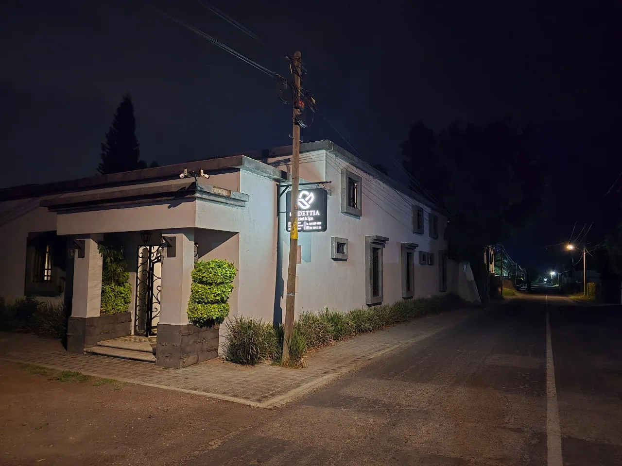 Hotel Godettia · alberca